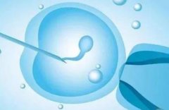 如何在马来西亚做三代试管?有哪些需要注意的地方