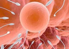 去乌克兰做第三代试管可行吗?要提前做好哪些准备