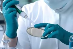 取卵第二天精卵不结合的原因有哪些?取卵第二天精卵不结合该怎么办