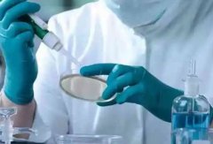 供卵试管能不能实现龙凤胎?实现龙凤胎需要具备什么条件?