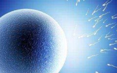 三代试管宝宝的智力有问题吗三代试管宝宝智力高不高?