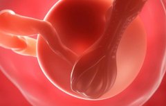 三代试管脱色体技术怎么样?三代试管脱色体技术需要多少钱?