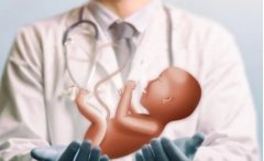 格鲁吉亚试管技术了解，三代试管生儿子费用分为三部分