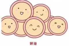 卵泡质量不好影响怀孕吗？要注意些什么？