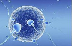 抗精子抗体阳性可以做试管助孕吗?