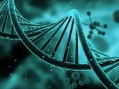 可以去马来西亚做供卵试管吗?有什么优势