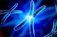 柬埔寨供卵试管选择性别要多少钱?柬埔寨供卵试管选择性别贵不贵?