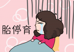 揭秘胎停背后的秘密：基因检测能否解开谜团？