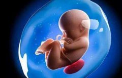 一文详解乌克兰供卵试管技术，价格受这些因素影响