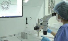 日本第三代试管选性别的价格是多少？