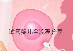 详解试管全流程，一共有五大步骤