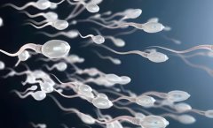 供精试管费用是多少?供精试管贵不贵?