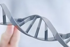 试管和人工授精的区别是什么?哪种方式比较合适?