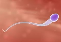 试管前要准备哪些?试管需要注意些什么?