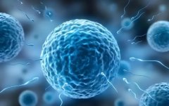 试管可以选男女吗?在哪里可以实现?