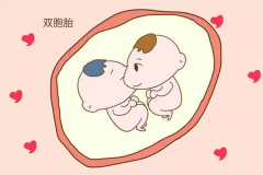 格鲁吉亚免费精子申请试管生双胞胎的条件，四大要点需关注！