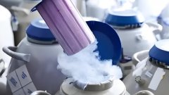 冷冻卵子生的孩子的寿命有多少?冷冻卵子能正常怀孕吗?