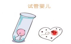 试管胚胎移植过程虽然不痛苦，但也需要注意这些