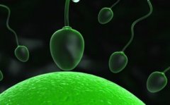 为什么要进行二代试管精子筛选？有什么优势？