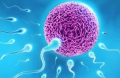 试管胚胎技术可以排除贫血吗?试管胚胎技术怎么样?