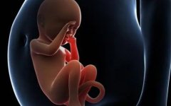 提高胚胎移植c的措施是什么?胚胎移植成功率多少算可以?