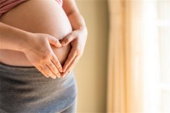 揭秘冻胚：含义与优势的深度解析