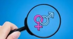 第三代试管的原理介绍，性别选择价格存在差异