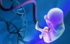 第三代试管选性别不会浪费胚胎，而且还有很多优势