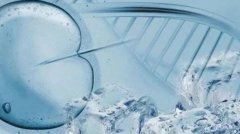 实现美满家庭的梦想！一文解读试管技术的作用和意义