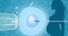 借卵试管争议不断，到底怎么确定是自己的孩子？