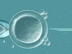 试管之旅新篇章：揭秘移植后的身体“小秘密”，你准备好了吗？