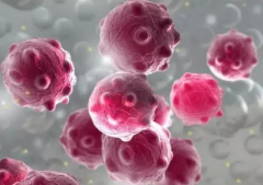 “高危警报”来袭！症状大曝光，幕后黑手究竟是谁？