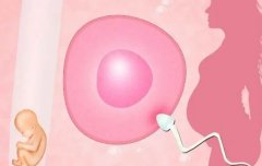 供精试管到底是怎么回事？一文了解它的流程