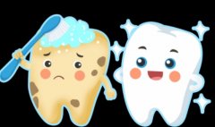 家长如何正确地为孩子刷牙，这些步骤可以了解