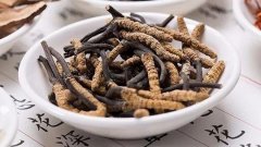 男人吃冬虫夏草，好处竟然这么多！