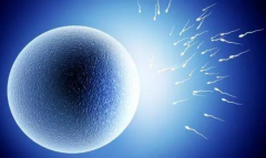 揭秘供卵试管：卵子费用的那些事儿，你知道吗？