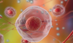 试管移植一月后，为何左侧小腹隐隐作痛？