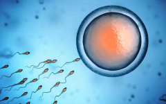 香港试管：让父母的梦想在这里照进现实