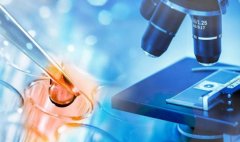 想要获得最佳的试管效果，注意这些提前准备工作