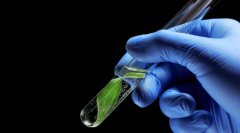 第二代试管：改善不孕症夫妇的希望