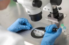 试管移植好不好?试管移植的优缺点有哪些?