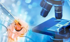 海外试管技术探秘：不只是“易孕”那么简单，还有这些神奇之处！