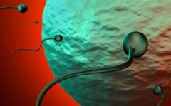 一文了解驻马店赠卵试管选择性别的优缺点