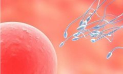 一文了解香港法律禁止性别选择性试管的原因