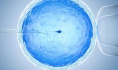 收藏！一文了解试管实现移植四大步骤