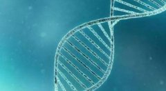 鞍山借卵试管技术怎么样？具体步骤提前了解