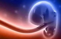 韩国试管能选性别吗？有什么注意事项？