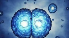 试管调降的日期解读，试管调降有什么风险？