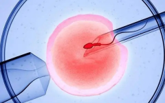 胚胎移植后的奇妙旅程：揭秘小生命着床的每一步！