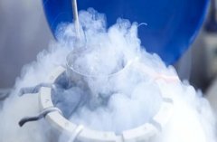 冻胚胎移植的效果如何，否有社会补贴？